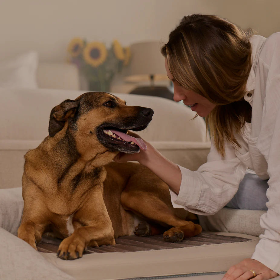 Infrared PEMF Pet Bed