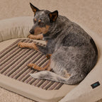 Infrared PEMF Pet Bed