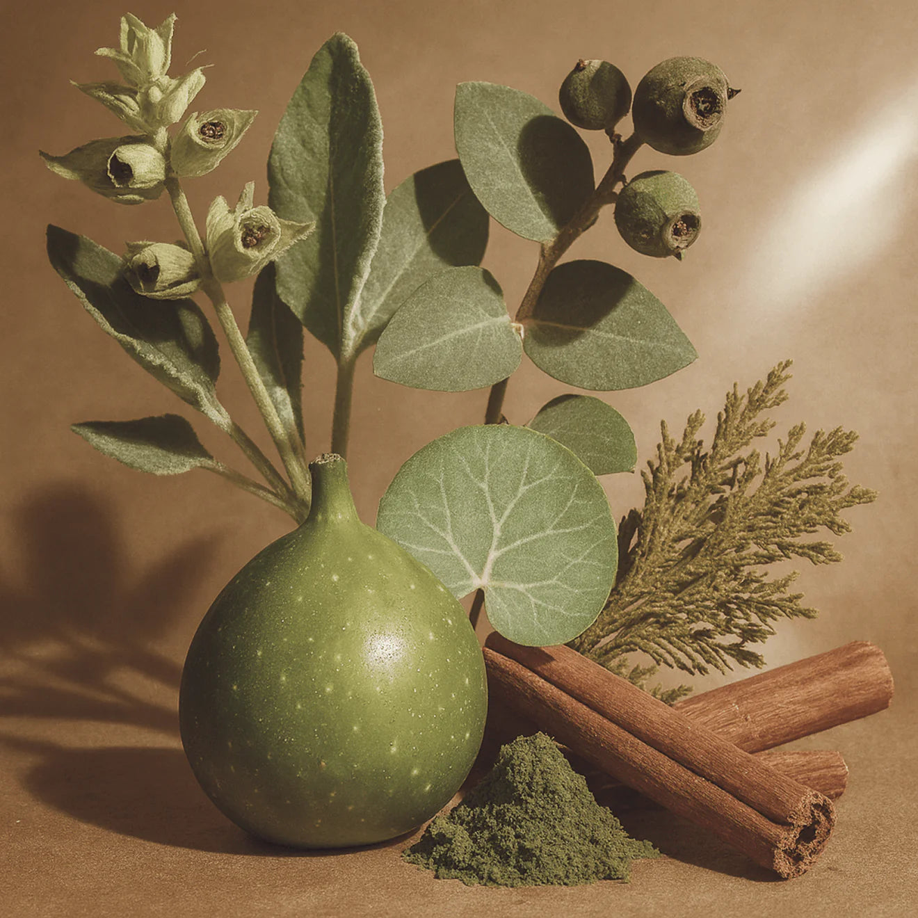 Hinoki Bastu Candle Refill Kit