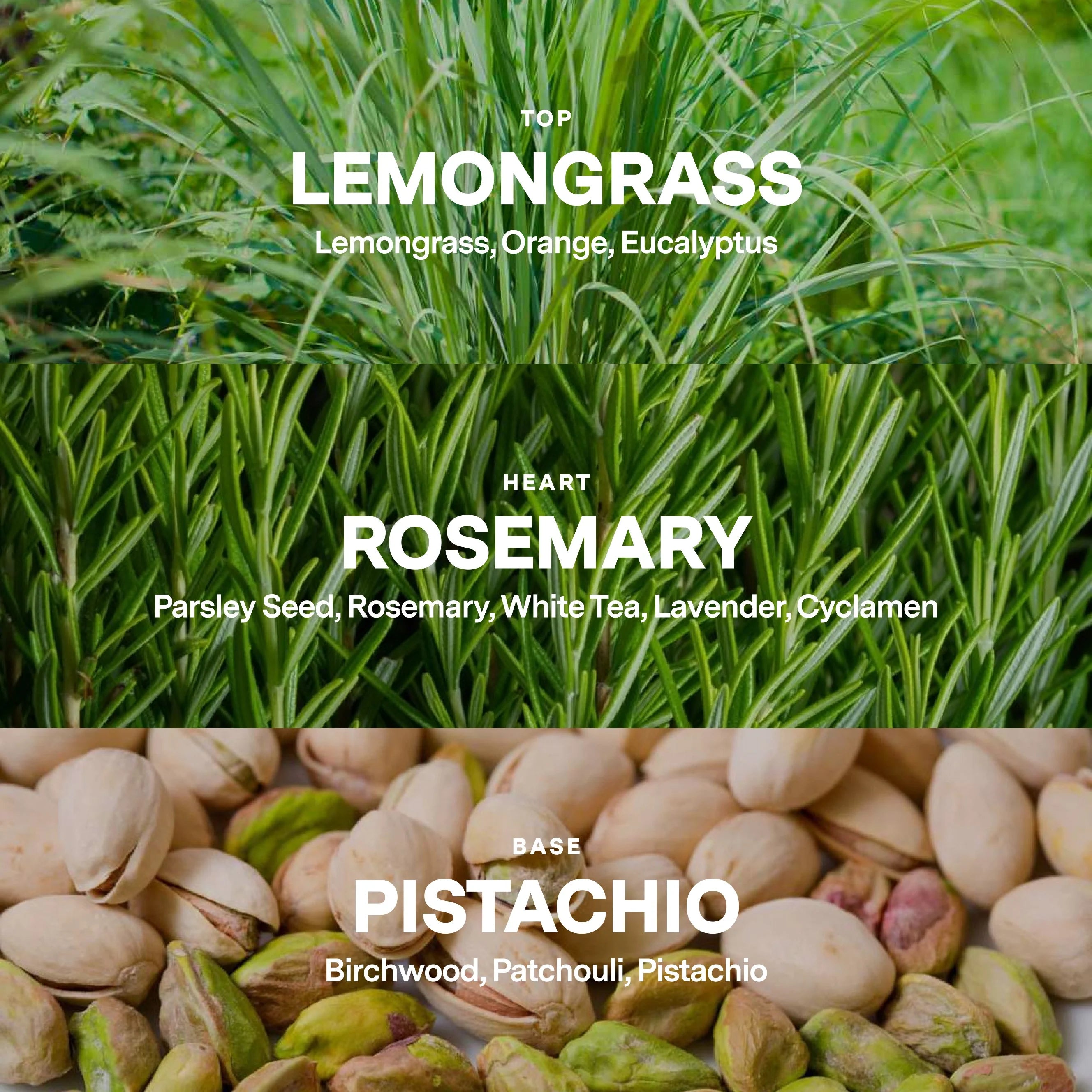 Scent No.2 Candle Refill Kit: Lemongrass, Rosemary, Pistachio