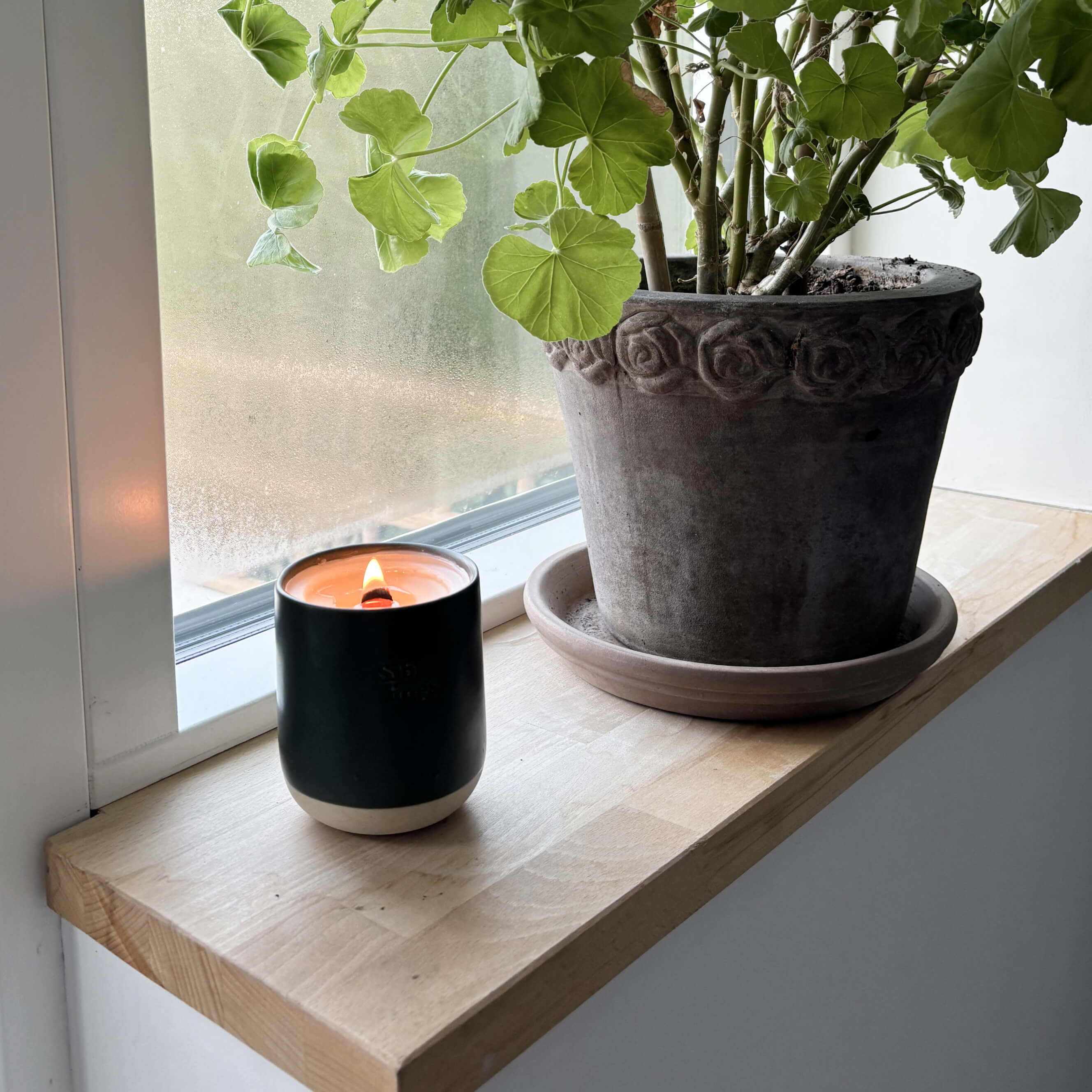 Scent No.2 Candle Refill Kit: Lemongrass, Rosemary, Pistachio