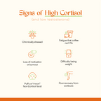 Cortisol, Who? The Stress Balancing Supplement