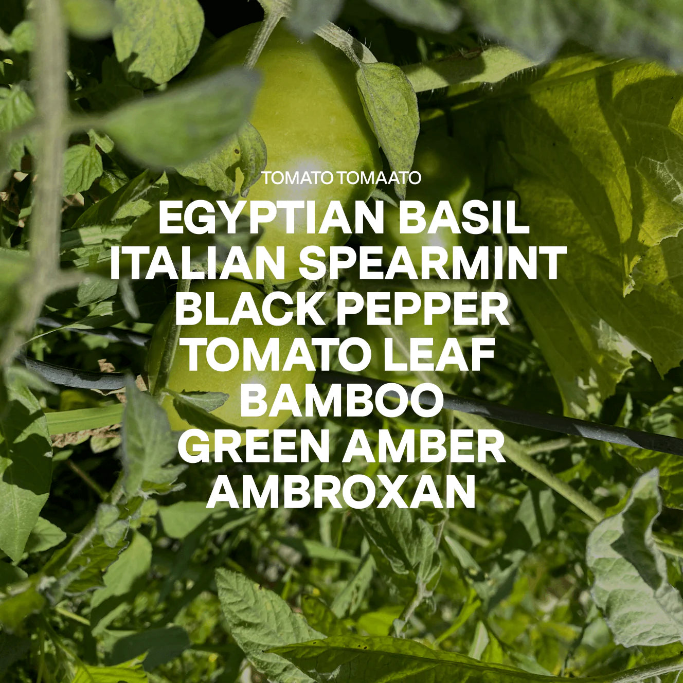 Farm Tomatoes Artisan Candle In Earth Glaze Vessel